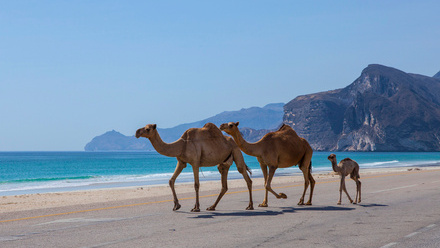 IMarEST_visit_Oman_and_UAE.jpg